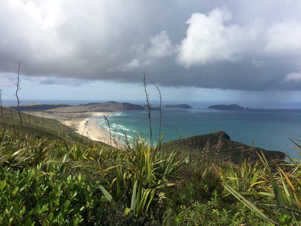 cape_reinga1